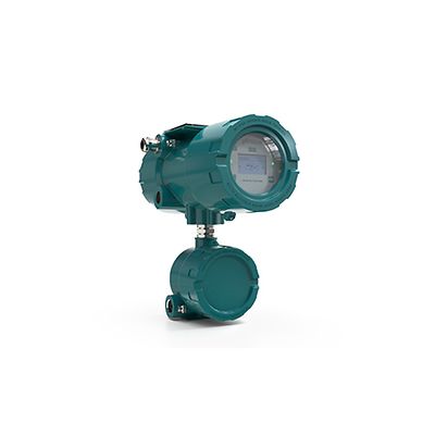 Flexim-FLUXUS G831 Gas Ultrasonic Flow Meter for Hazardous Areas